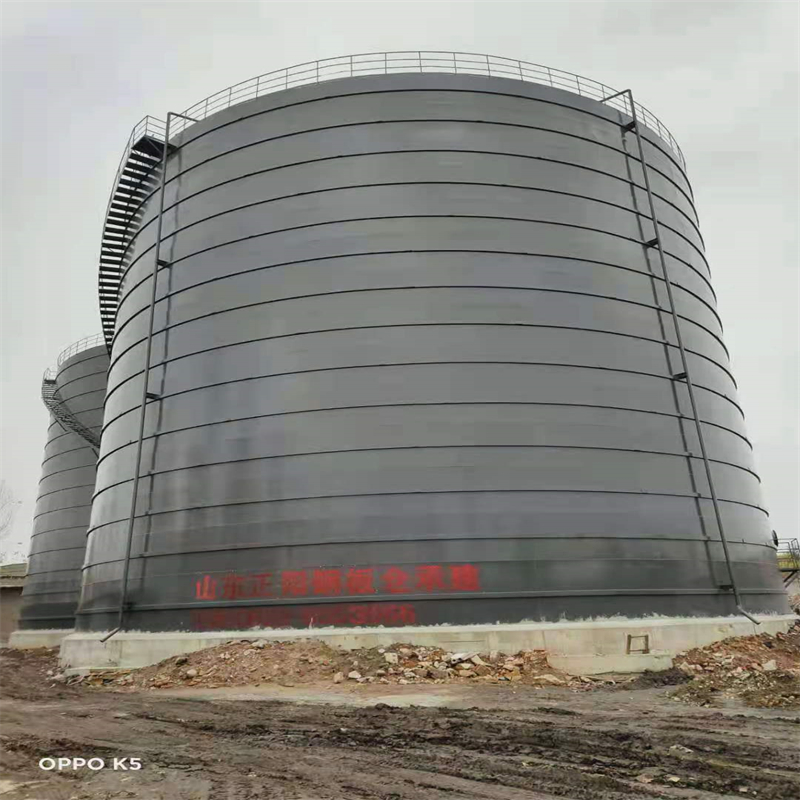 江州3万吨大型钢板库